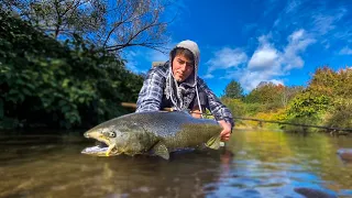 UNBELIEVABLE Catch out of TINY CREEK | Upstate New York Fishing   (How is this possible?)