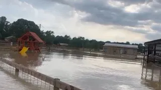 Texas Farm Animal Sanctuary Under Water