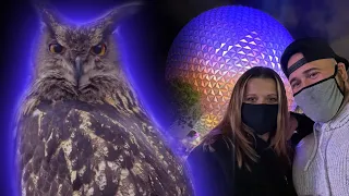 We Tried Randonautica At Disney World And This Happened #2021-7