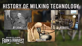 The History of Milking Technology | Maryland Farm & Harvest