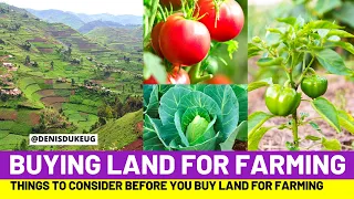 Things To Consider When Buying Land For Farming In Uganda