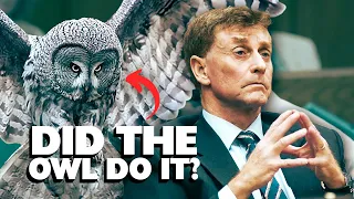 The Staircase Owl Theory: is there anything to it?
