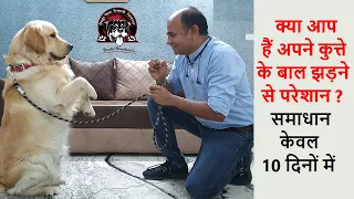 Dogs Hair Fall? Solutions in Just 10 Days | Part-1 | 2020