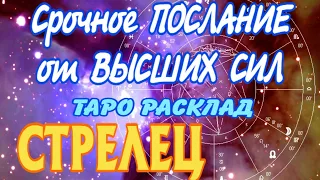 СТРЕЛЕЦ 🧚‍♂️🧚‍♂️🧚‍♂️ Срочное ПОСЛАНИЕ от ВЫСШИХ СИЛ Таро Расклад Angel Tarot Forecasts