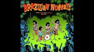 Various – Brazilian Nuggets - Back From The Jungle Volume 4 60's Garage Rock Fuzz Psychedelic ALBUM