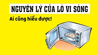 Lò Vi Sóng làm chín thức ăn từ trong ra ngoài như thế nào?