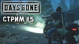 Прохождение Days Gone | Жизнь После #5 База и глава Упокоителей