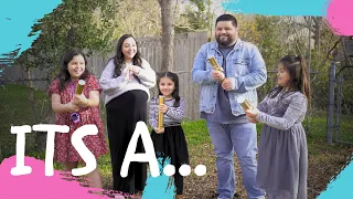 Baby Ventura #4 | Gender Reveal