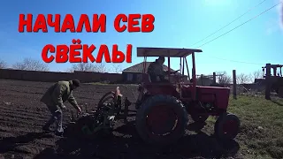 Когда начинать сев столовой Свеклы!!!Что нужно знать о севе свеклы!!!Какой ранний сорт Сеять!!!