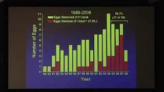 October 2012 From Shore to Sea Lecture: Bald Eagle Restoration and Recovery on the Channel Islands