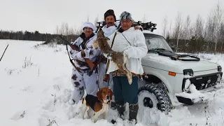 ОХОТА С ЭСТОНСКОЙ ГОНЧЕЙ🦮3 ЧАСА ГОНА, НО МЫ ЕГО ВЗЯЛИ❄️