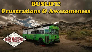 BUSLIFE: Fixing our Shower, Desert Wildlife, & Baking in the Bus