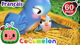 5 petits oiseaux | Chansons pour Bébés | CoComelon Le coin des Animaux de JJ - Comptines