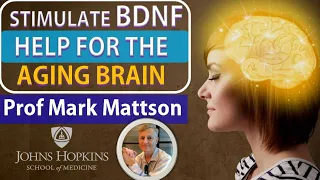 Stimulate BDNF:Help for The Aging Brain | The Pioneer of IF | Prof Mark Mattson Interview Series Ep5