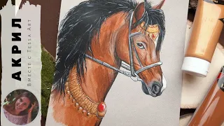 Рисуем акрилом из АШАНА. Рисунок лошади. Тест акрила my creation