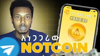 በነፃ የሚሰጠው የቴሌግርም Notcoin ምን ያህል ያተርፋል || Telegram Notcoin Crypto