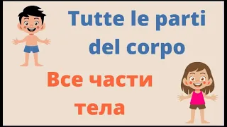 ВСЕ ЧАСТИ ТЕЛА НА ИТАЛЬЯНСКОМ - Tutte le parti del corpo in russo