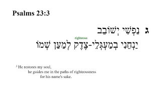 Psalm 23 -- Hebrew Bible Speaker with English Captions