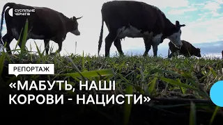 "Мабуть, наші корови — нацисти": жителі Семенівської громади про обстріл місцевої ферми