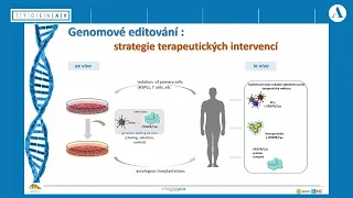 Od nových principů genové terapie k praktickým aplikacím
