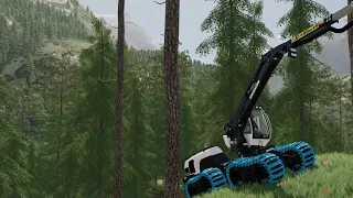 Bear Rock Logging (Ep.1) Farming sim 22