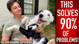 The 1 Thing I Do Every DAY (ALMOST) With My Dog