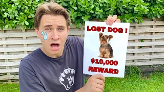 MY BLIND DOG IS MISSING ! WILL WE FIND HER ?!