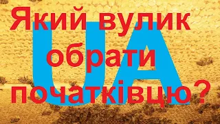 Який вулик обрати початківцю? Який вулик краще підходить для знайомства з бджолами і чому. Бесіда 4.