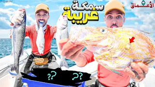 حياة البحار:تحدي الصيد🐟 في أعماق البحار🌊 وصيد أنذر الأسماك💎