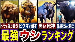 【最強生物】1位の牛がヤバすぎるww最強のウシ科動物ランキングTOP5【ゆっくり解説】