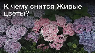 К чему снится живые цветы? Толкование сна и его значение по сонникам Хассе и Миллера