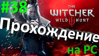 The Witcher 3: Wild Hunt - Прохождение #38 Заказ: Лесное чудовище