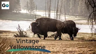 Vintage Yellowstone: The World's First National Park - Full Vintage Documentary