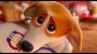 The Queen's Corgi - Coming soon! - Official Teaser Trailer