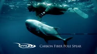 Spearfishing - Pole Spear Diaries II (70lb Ulua)