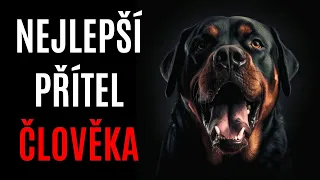 NEJLEPŠÍ PŘÍTEL ČLOVĚKA - Creepypasta CZ