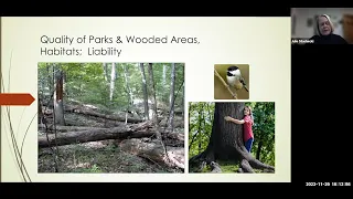 City of Ann Arbor Oak Wilt 101 Webinar