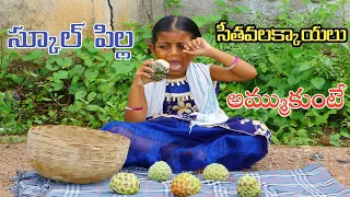 Radha sitavalakkayalu Ammithe / School holidays lo Cucumber ammithe / Village Comedy