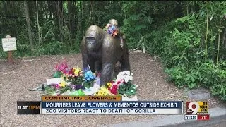 Cincinnati gorilla Harambe: Mourners leave flowers, mementos outside exhibit
