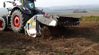 Германия/ Выкорчевка виноградника -подготовка земли под новый виноградник.