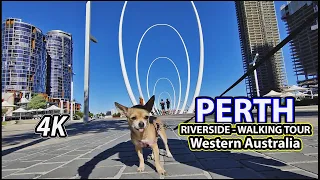 Morning Walk Along River in the City || RIVERSIDE FORESHORE, Perth, Western Australia 4K