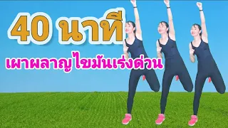 เผาผลาญไขมันเร่งด่วน 40 นาที // Low impact cardio workout all standing @joyderka