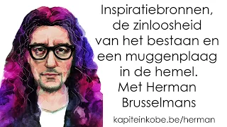 #29 - Herman Brusselmans' inspiratiebronnen, de zinloosheid van het bestaan en een muggenplaag