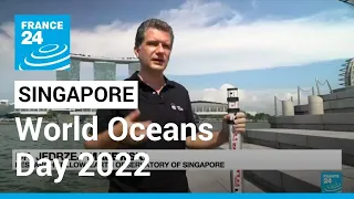 A unit of experts combats rising sea levels threatening Singapore's existence • FRANCE 24 English