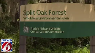 FWC approves Split Oak land deal as opponents jeer