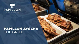 Papillon Ayscha the Grill | #shorts