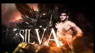 Fedor Emelianenko vs Antonio Silva mma mixfight
