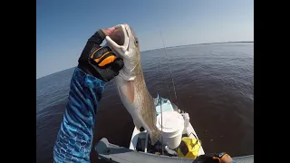 Redfish on the slam shady bomber!!