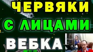 Wormax.io: с вебкой веселой семьи ЖУКа