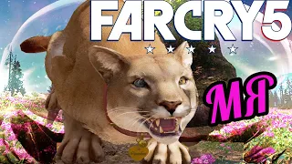 ▼СЮЖЕТ ИГРЫ FAR CRY 5